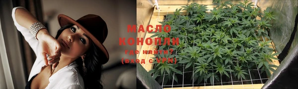 твердый Михайловск