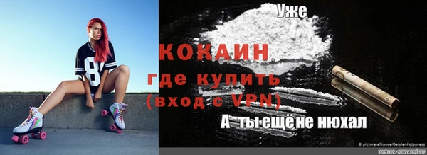 твердый Михайловск