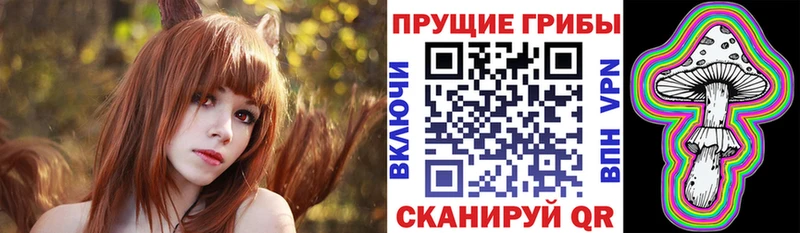 Псилоцибиновые грибы Psilocybe  Купить где  Шиханы 